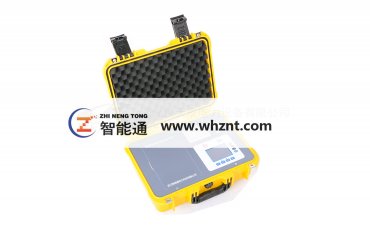 ZNT-3100  黄瓜视频免费下载电导盐密度测试仪